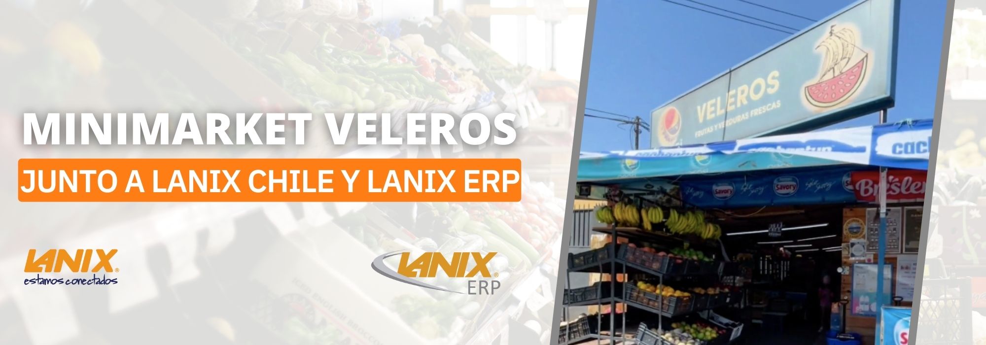 Lanix ERP